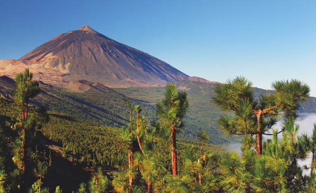 Guía Tenerife